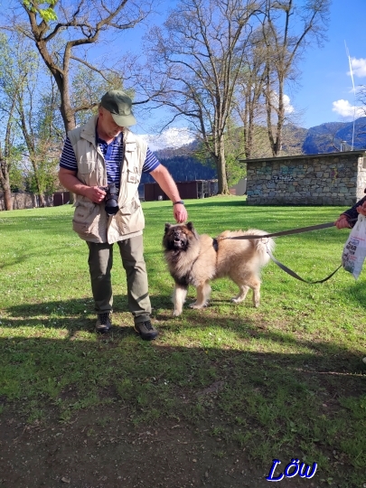 19.4.2025 - Dressur 1